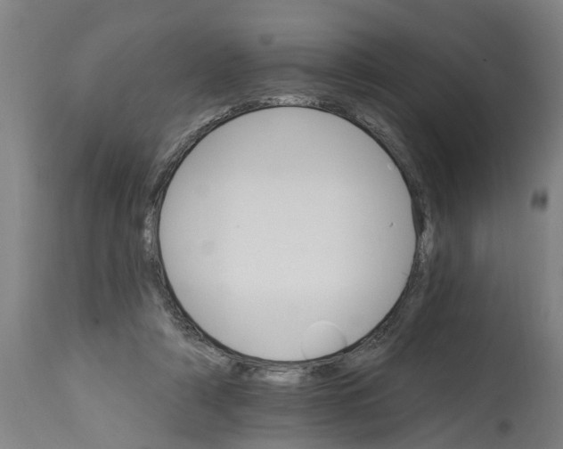 X0000114400306200911131412