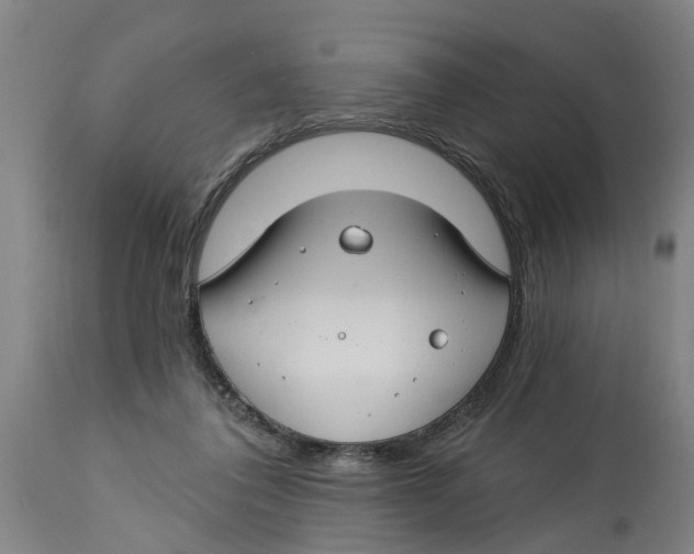 X0000114400308200911131412