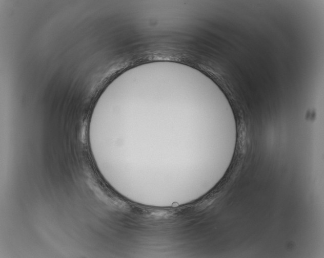 X0000114400310200911131412