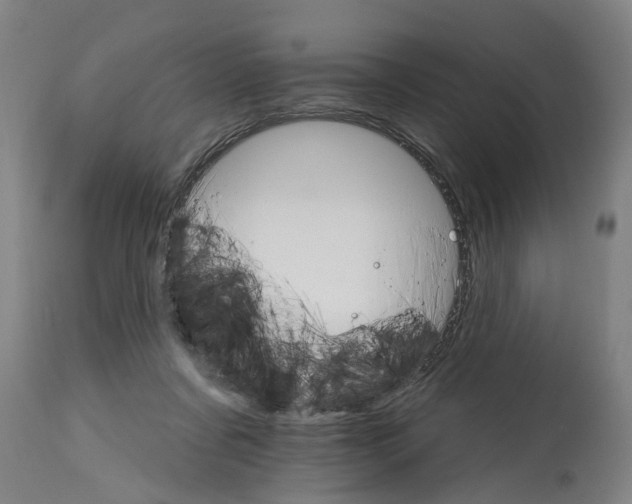 X0000114400311200911131412