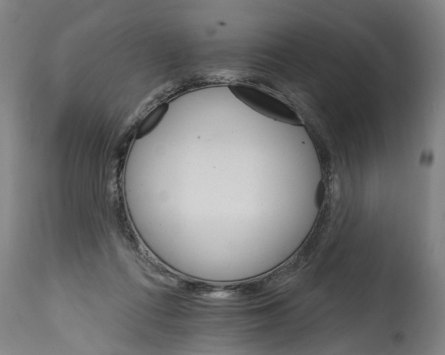 X0000114400312200911131412