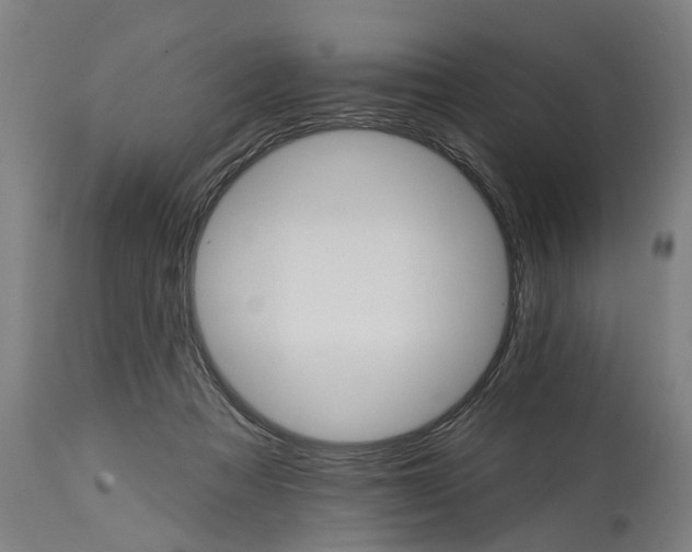 X0000114400313200911131412