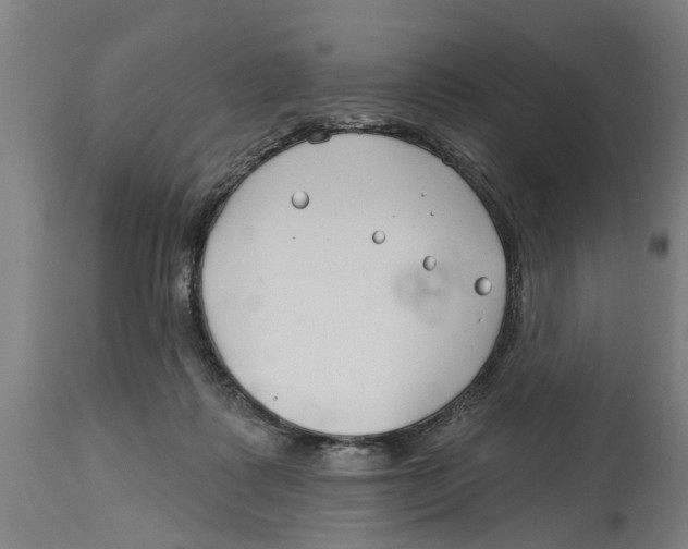 X0000114400315200911131412