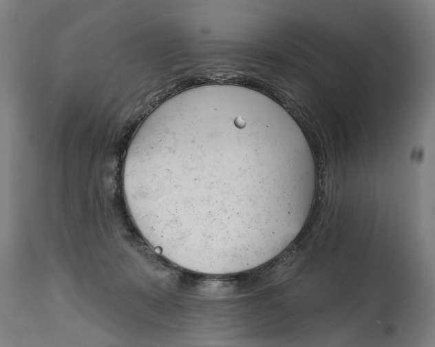 X0000114400319200911131412