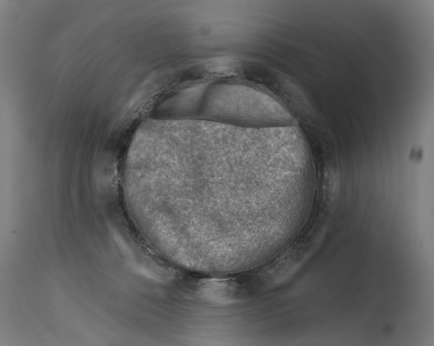 X0000114400320200911131412