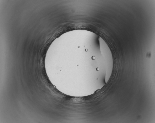 X0000114400327200911131412