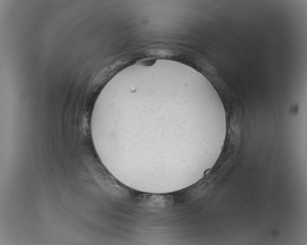 X0000114400330200911131412