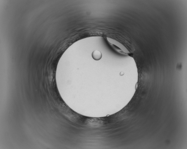 X0000114400331200911131411