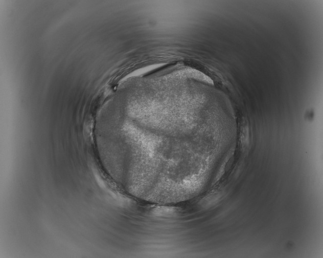 X0000114400332200911131411