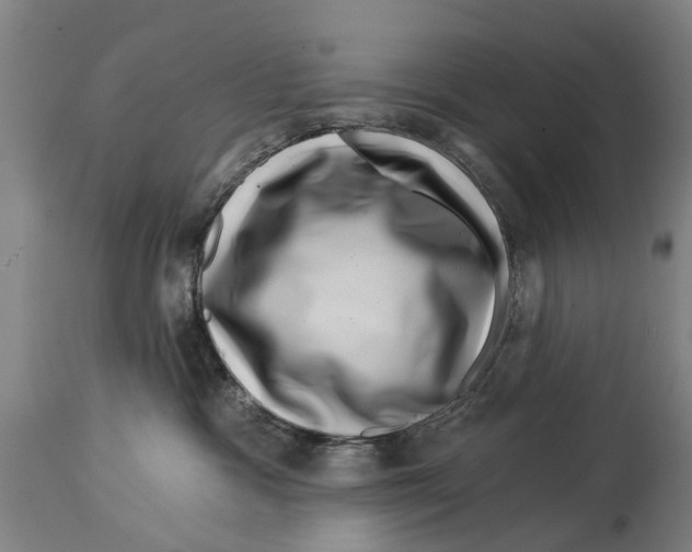 X0000114400333200911131411