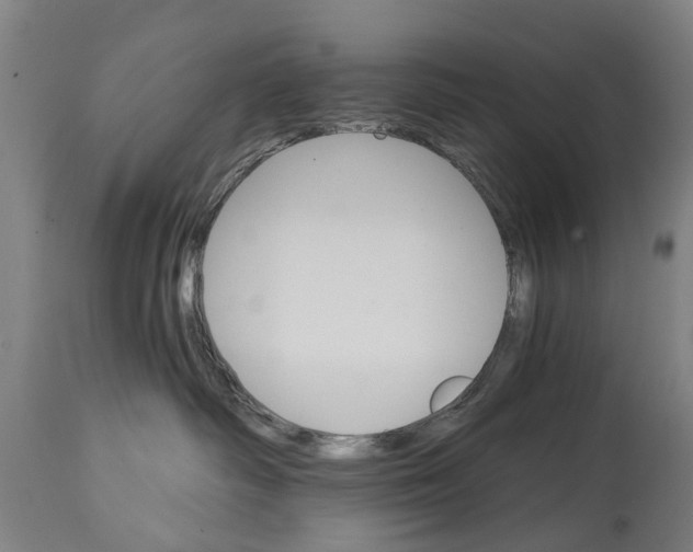 X0000114400334200911131411