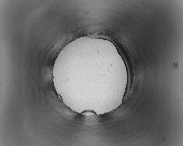 X0000114400335200911131411