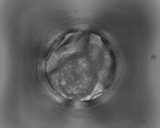 X0000114400336200911131411