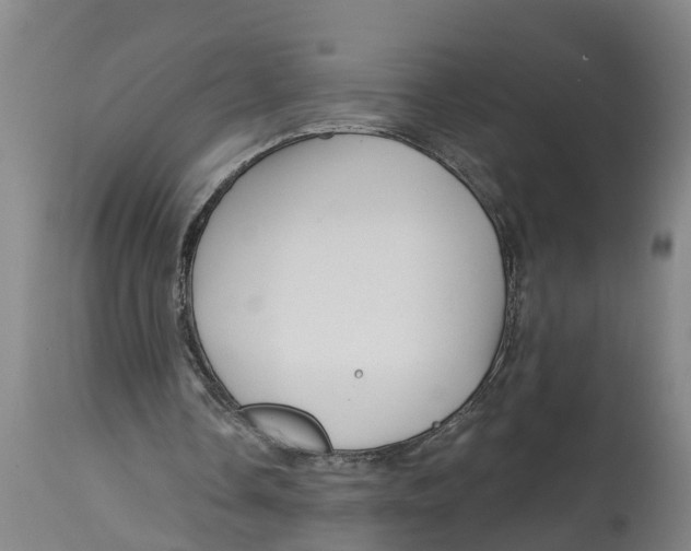 X0000114400338200911131411