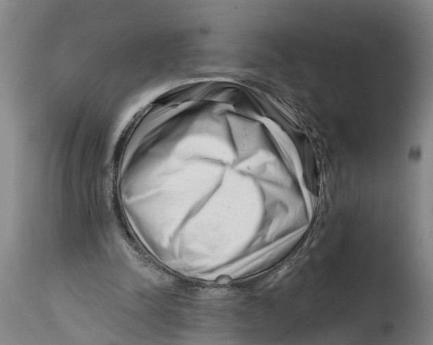 X0000114400342200911131411