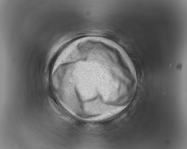 X0000114400343200911131411