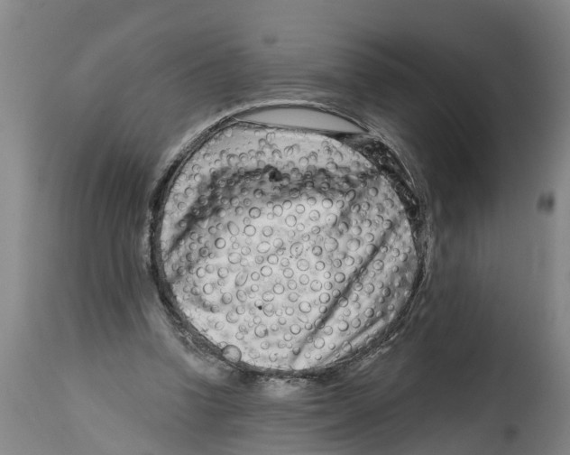 X0000114400346200911131411