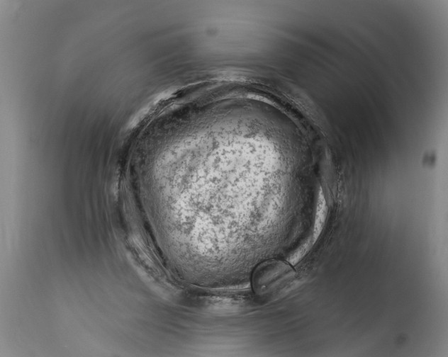 X0000114400347200911131411