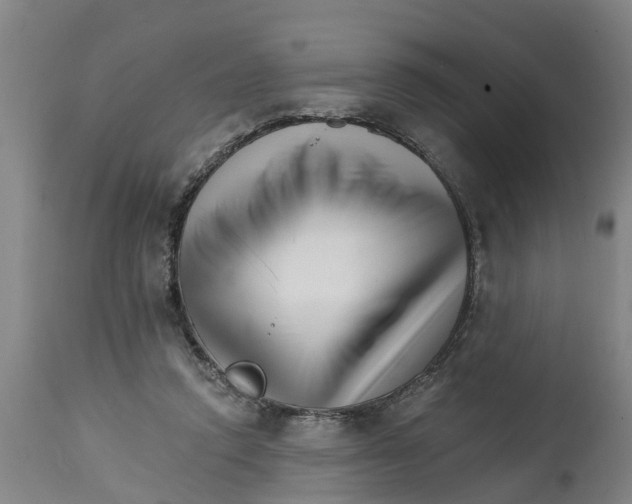 X0000114400354200911131411