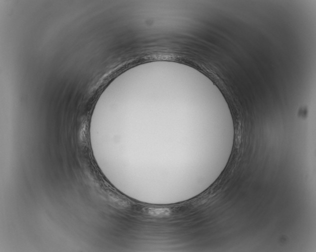 X0000114400355200911131411