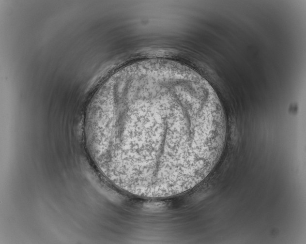 X0000114400357200911131411