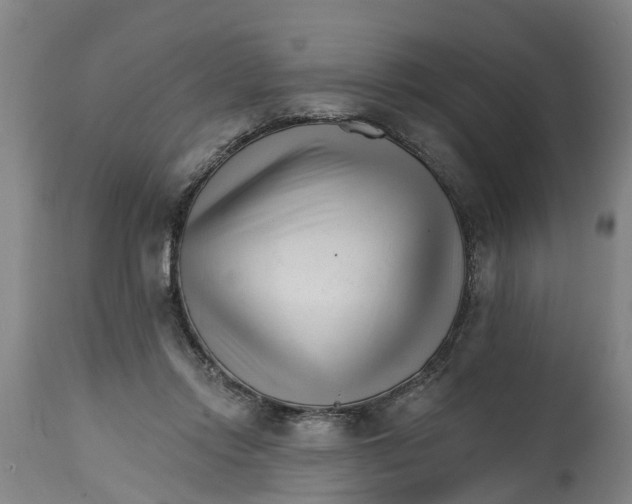 X0000114400358200911131411