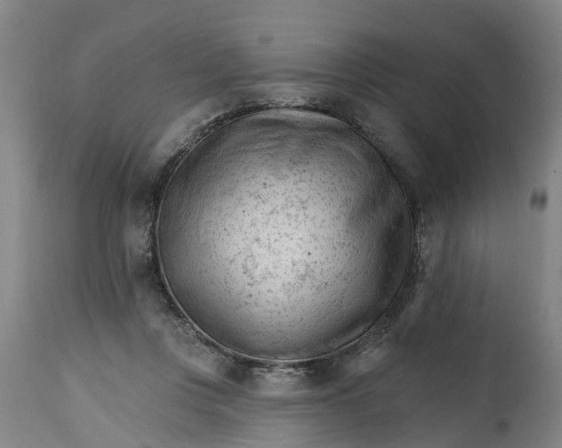 X0000114400359200911131411