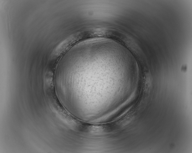 X0000114400361200911131411