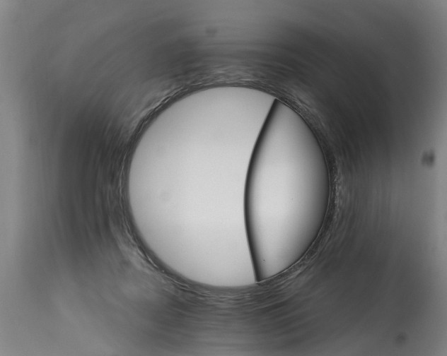 X0000114400362200911131411