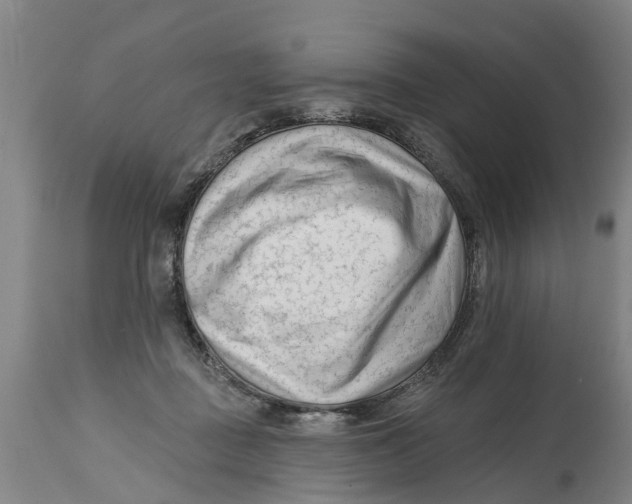 X0000114400363200911131411