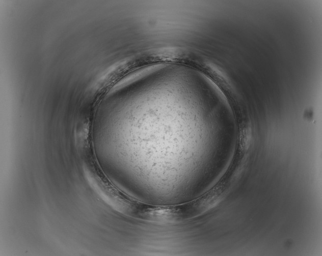 X0000114400365200911131411