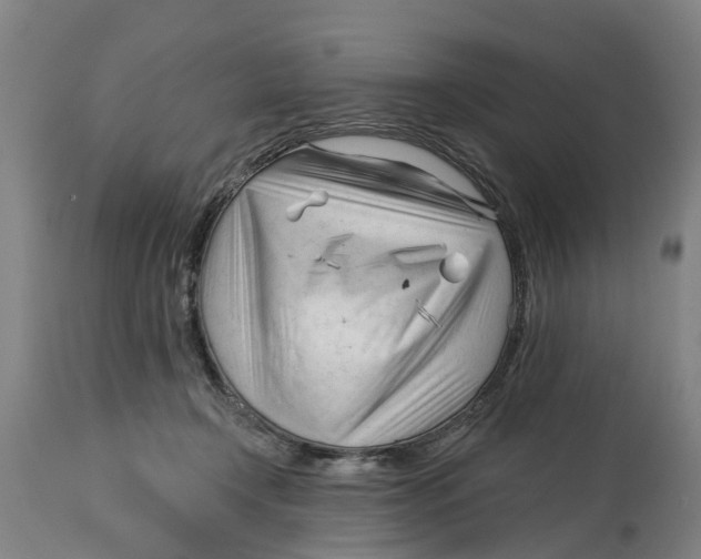 X0000114400366200911131411