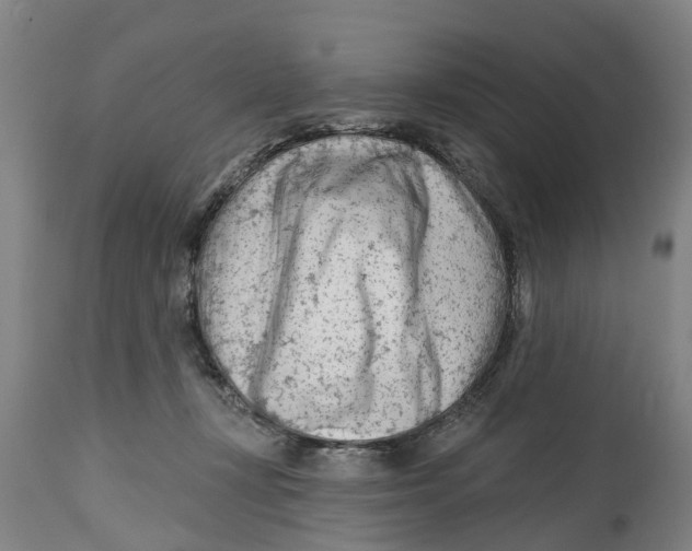 X0000114400367200911131411