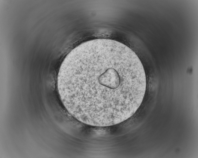 X0000114400370200911131411