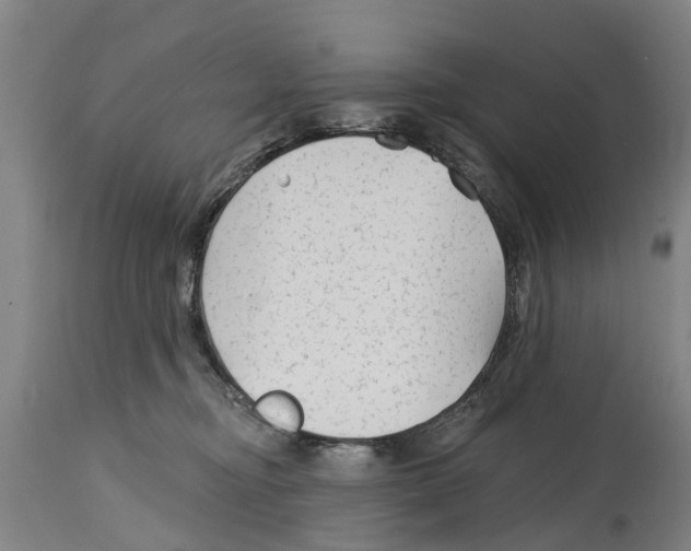 X0000114400374200911131411