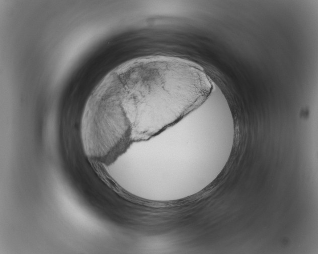 X0000114400381200911131411