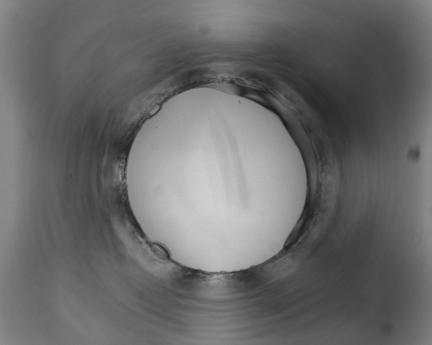 X0000114400382200911131411