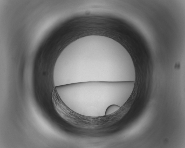 X0000114400383200911131411