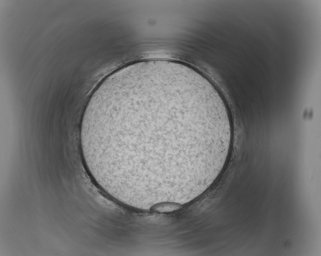 X0000114400385200911131411