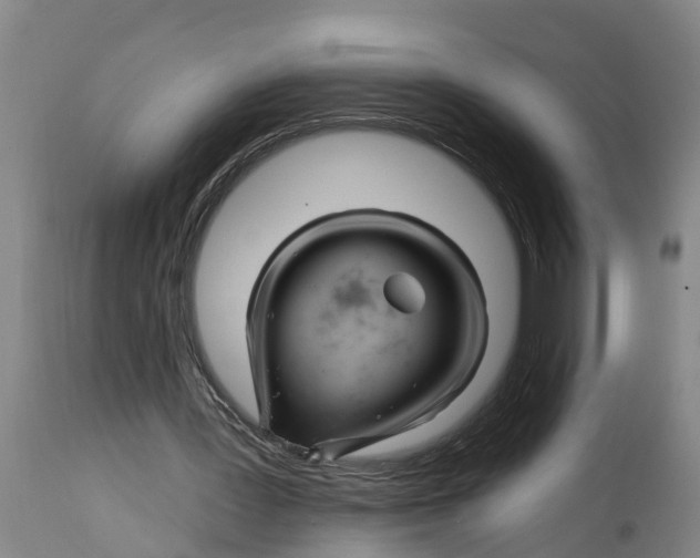 X0000114400387200911131411