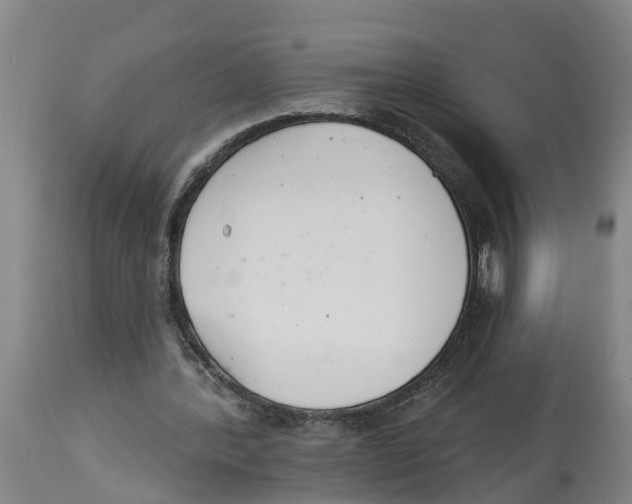 X0000114400388200911131411