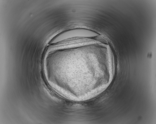 X0000114400390200911131411