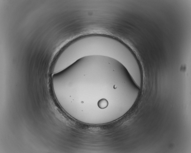 X0000114400391200911131411