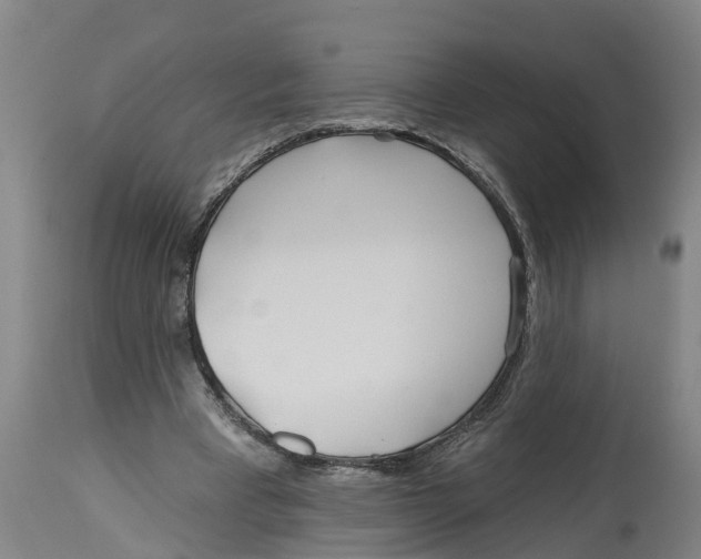 X0000114400393200911131411