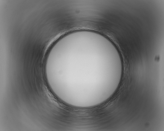 X0000114400395200911131411