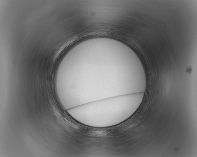 X0000114400396200911131411