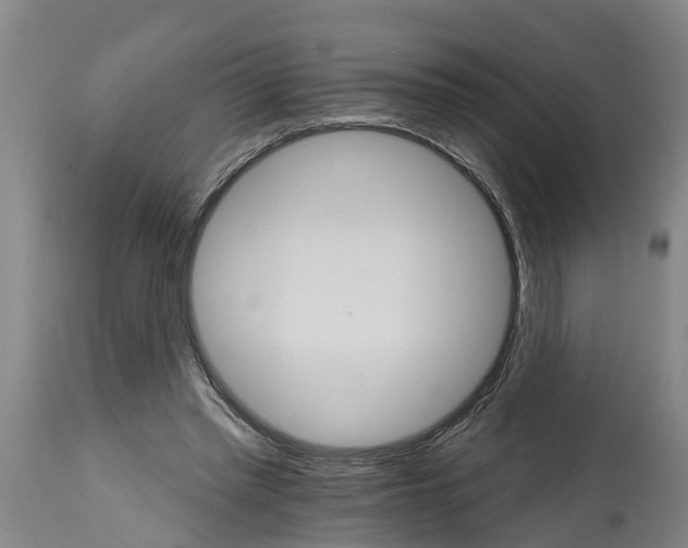 X0000114400397200911131411