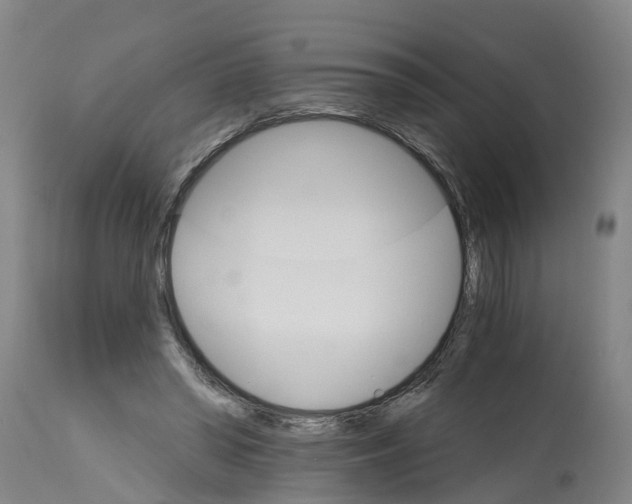 X0000114400398200911131411