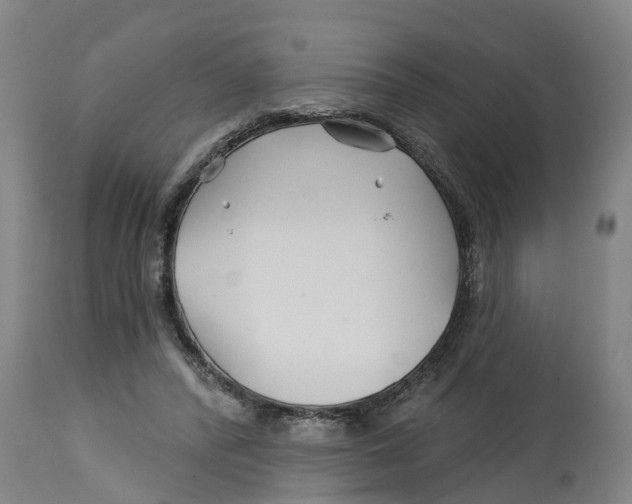 X0000114400400200911131411