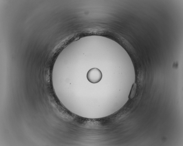 X0000114400403200911131410